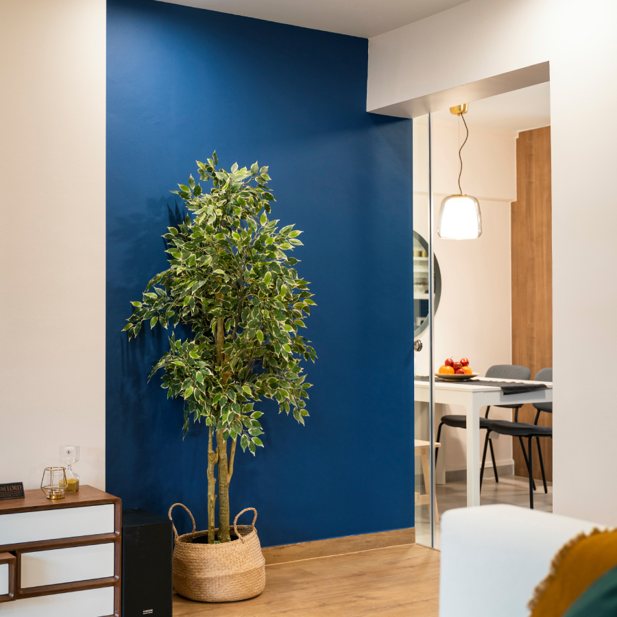 LowMaintenance Blue Wall Paint Design Livspace